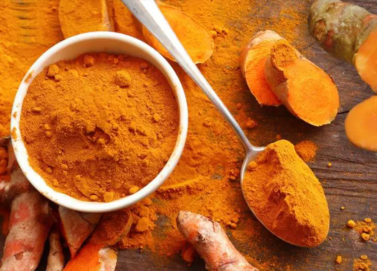 Bowl and spoonful of turmeric powder and roots. 