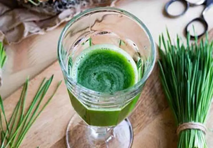 Glass of wheatgrass juice and leaf bundles.