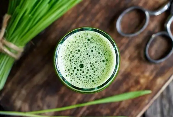 Top view of barley grass shot and blades on a rustic board. 