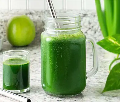 Large glass mug and shooter of barley grass juice on a kitchen counter.