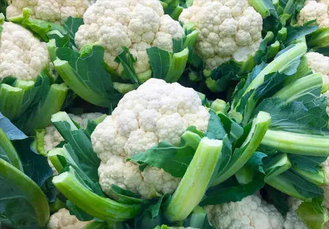 Bunches of bright cauliflower. 