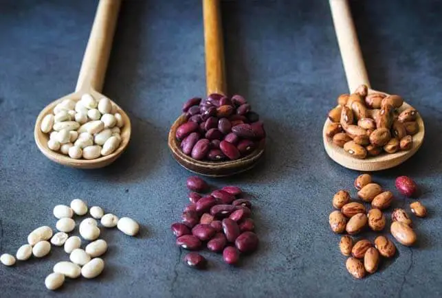 Three wooden spoons of dry kidney, navy, and pinto beans.
