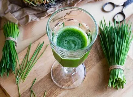 Top view of wheatgrass juice in a glass by bundles. 