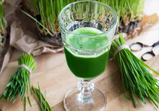 Glass of wheatgrass by leaf bundles. 