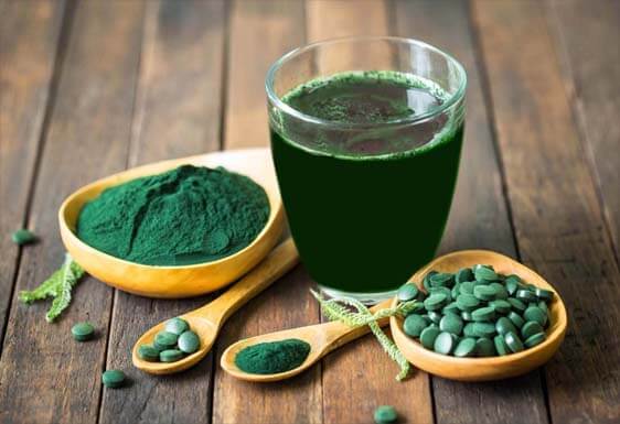 Glass of green juice by spirulina and chlorella nootropics. 