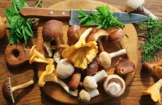 An assortment of raw mushrooms on a cutting board. 