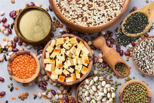 Top view of plant-based protein foods including beans, nuts, seeds, and more.