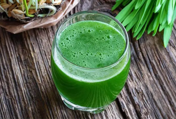 Glass of fresh raw barley grass juice on rustic wood. 