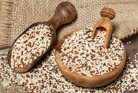 Large bowl and scoops of raw organic quinoa. 