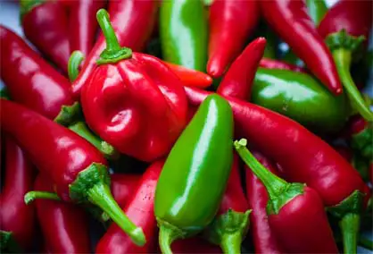 Close-up of rich red and green Jalapeno peppers. 