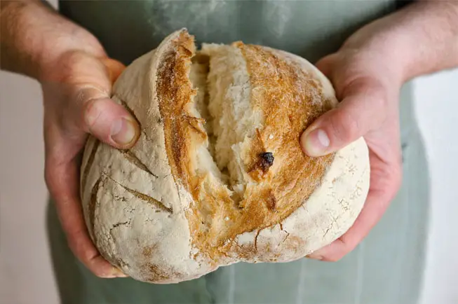 A man's hands breaking open a crusty rich loaf of Himalayan Tartary Buckwheat sourdough bread.