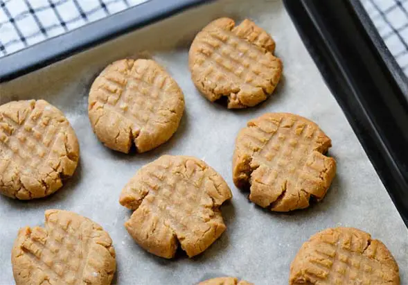 Top view of raw vegan peanut butter cookies with Himalayan Tartary Buckwheat on a parchment-lined baking sheet. 