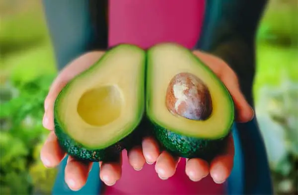 Close-up of a girl's hands cupping a succulent sliced avocado.