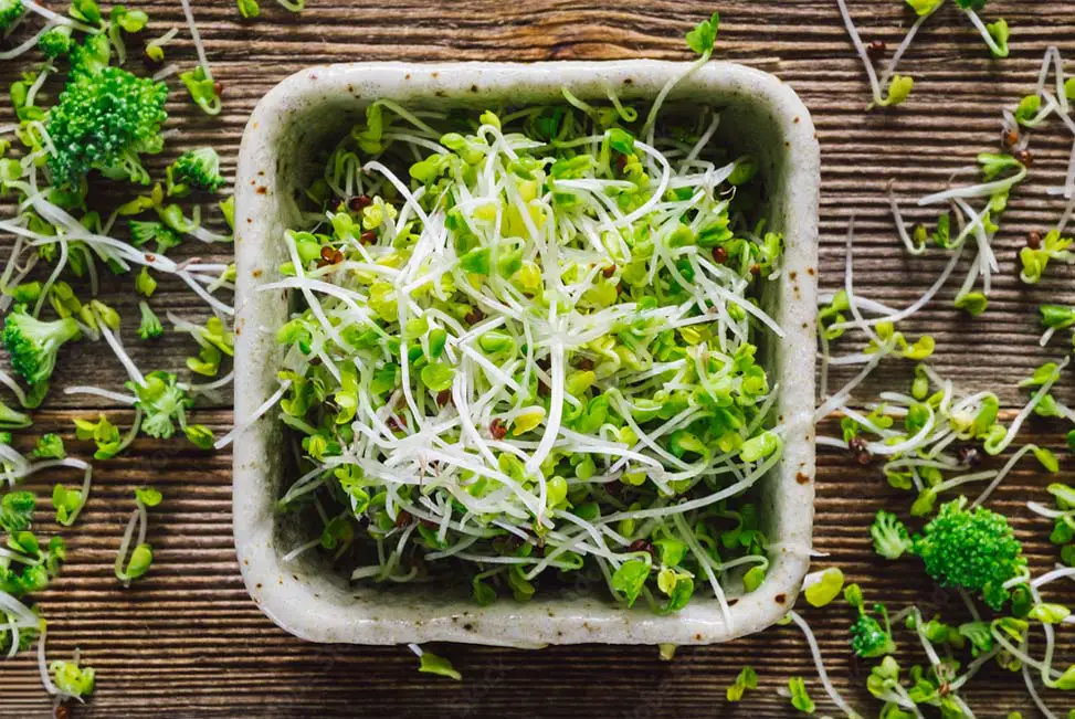 Top view of raw organic broccoli sprouts on a rustic board. 