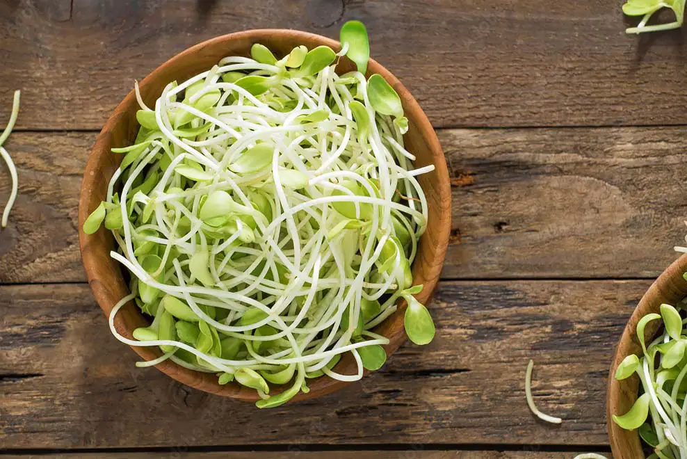 Top view of delicate sprouts in a wooden bowl. 