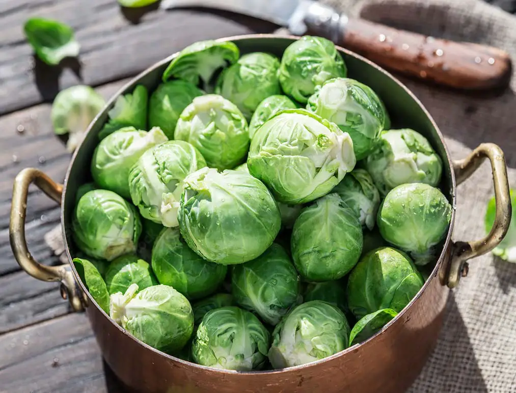 Selective focus of fresh raw Brussels sprouts in a saucepan on a sunny picnic table. 