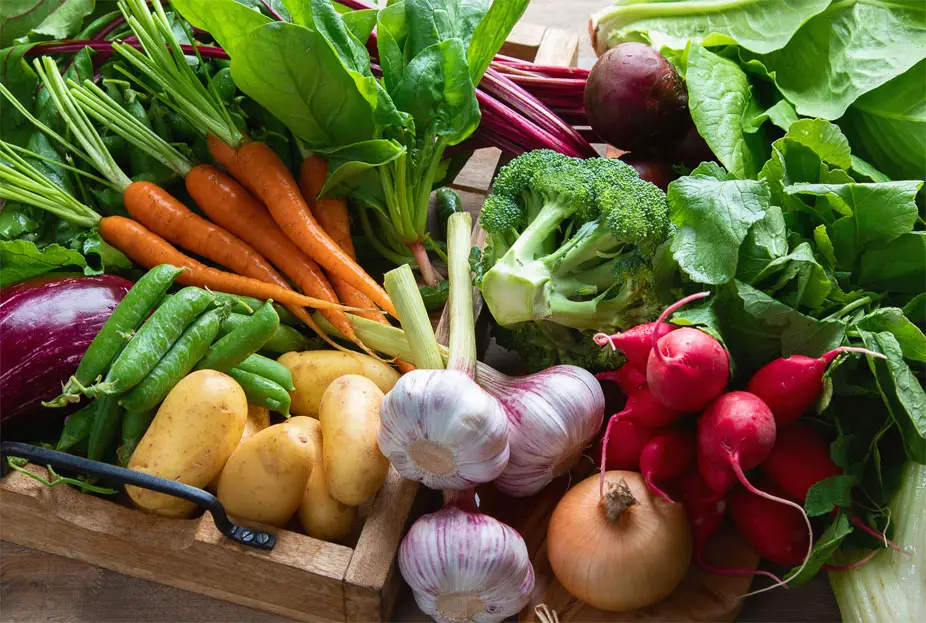 Top view of fresh organic vegetables including broccoli, greens, garlic, carrots, beets, radish, eggplants, potatoes, and snap peas.   