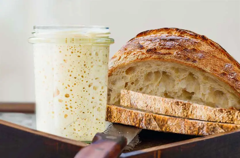 A jar of buckwheat sourdough starter on a wooden block by a loaf of sliced sourdough bread.